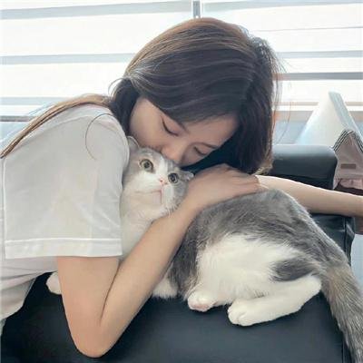 纽约趣史